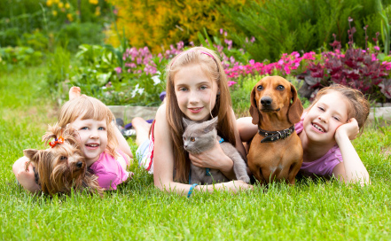 Being a parent is a wonderful gift- dont be afraid to ask for help!